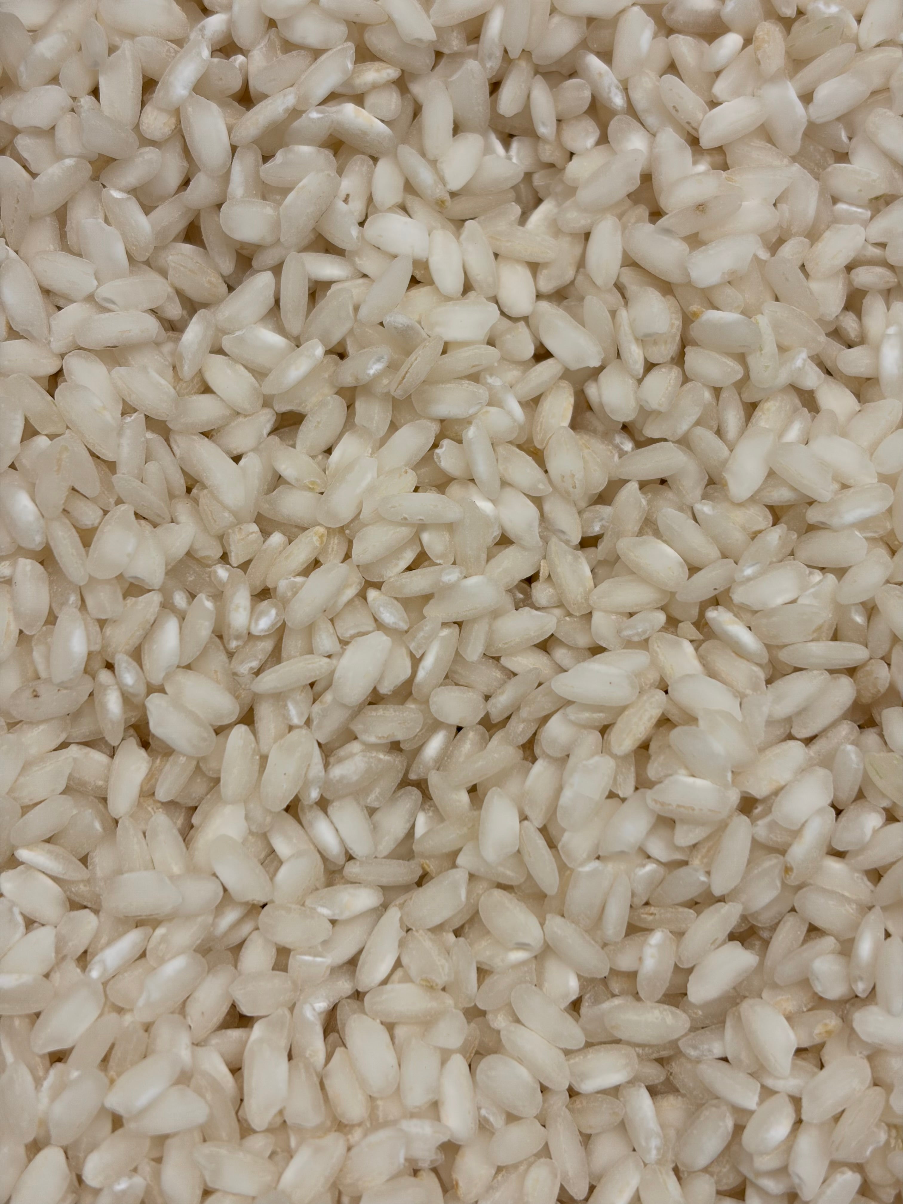 Itališki ryžiai – meistriškumas ir istorija kiekviename grūde