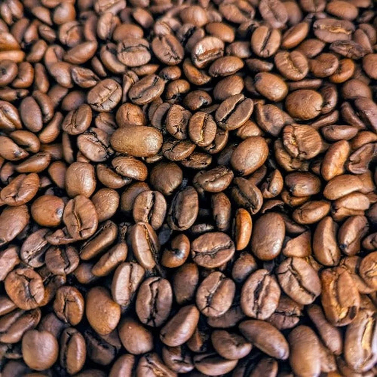 CIRCI Miscela Oro – 100 % Arabica kavos pupelės, 1 kg